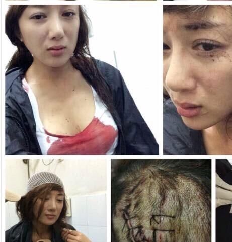 叶璇宠物狗 叶璇宠物狗