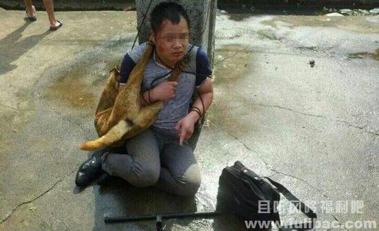 村民围殴偷狗贼 村民围殴偷狗贼