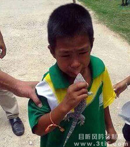 男孩亲壁虎被咬唇 男孩亲壁虎被咬唇