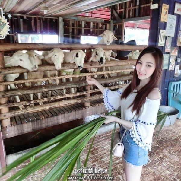 泰国果汁西施 泰国果汁西施