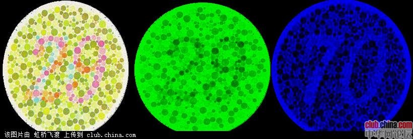 色盲色弱测试图 快来测试一下你是色盲不? 色盲 色弱