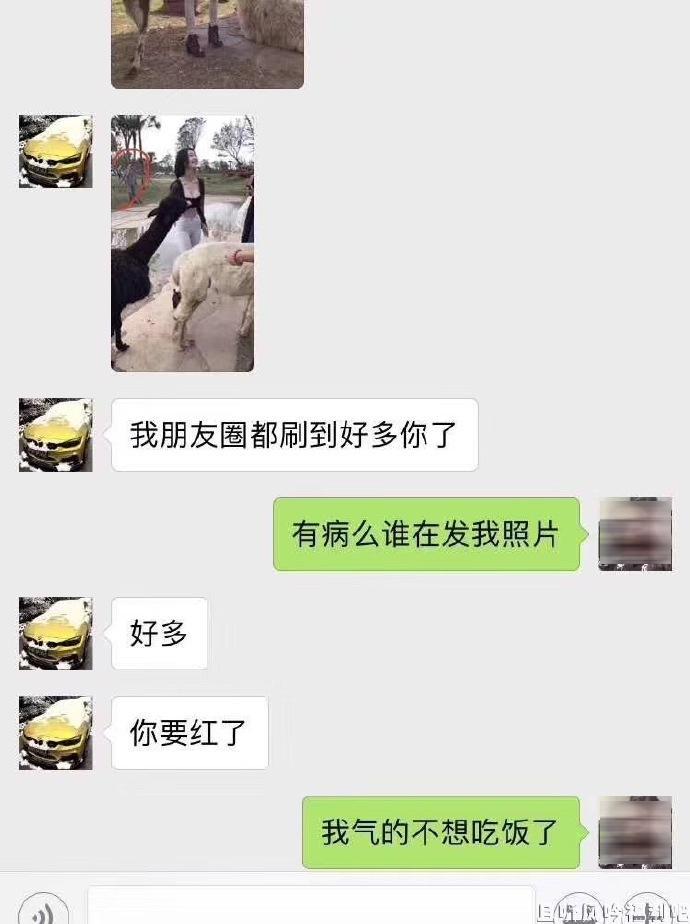动物园美女 动物园美女