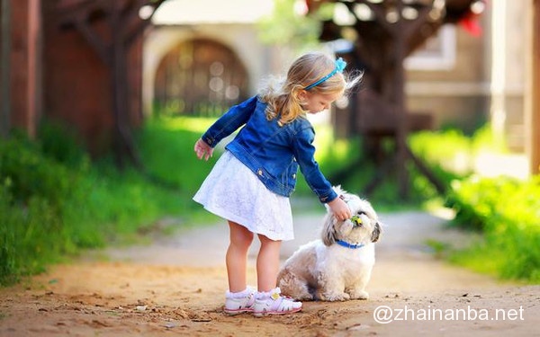 不同品种的狗狗进行交配,生出来的下一代是什么样的? 狗狗 串串