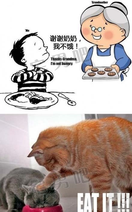 有一种冷叫做「你妈觉得你冷」 有一种饿叫做「你乃乃觉得你饿」 搞笑图片 你妈觉得你冷 你乃乃觉得你饿