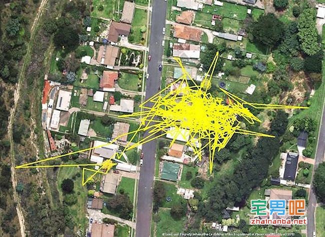 在猫的身上戴上gps,观察它们夜间的运动轨迹,结果看到了这个。。。 猫