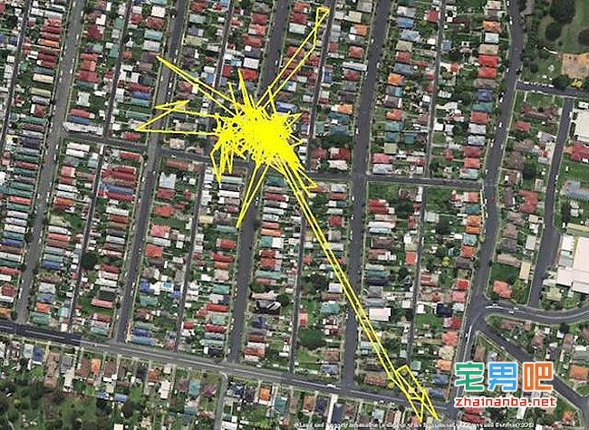 在猫的身上戴上gps,观察它们夜间的运动轨迹,结果看到了这个。。。 猫