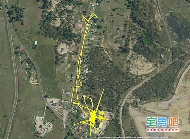 在猫的身上戴上gps,观察它们夜间的运动轨迹,结果看到了这个。。。 猫