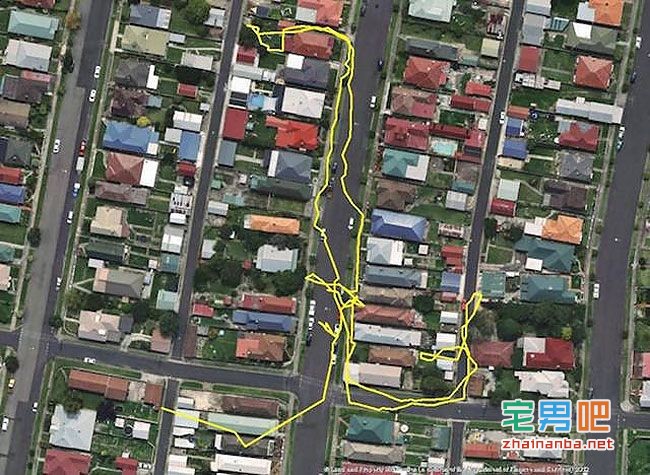 在猫的身上戴上gps,观察它们夜间的运动轨迹,结果看到了这个。。。 猫