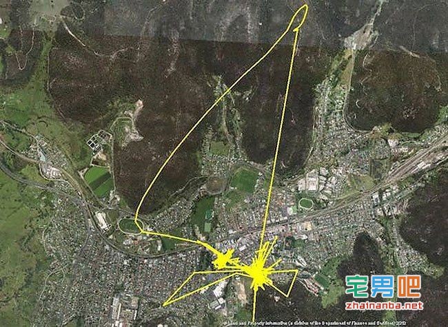 在猫的身上戴上gps,观察它们夜间的运动轨迹,结果看到了这个。。。 猫