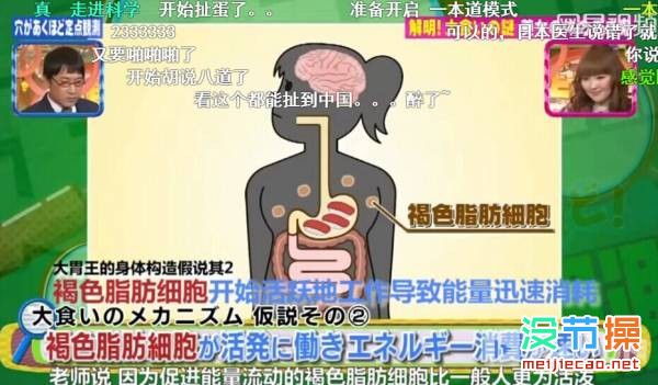 大胃王「木下佑哗」为什么可以吃那么多?日本综艺节目现场揭秘! 木下佑哗 大胃王