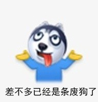 微博上最近新出的「二哈」表情 有人找到出处了 二哈表情