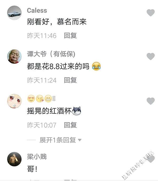 奔跑晶骡子 奔跑晶骡子