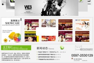 【asp源码】迪赛网络科技非常大气工作室 v1.0 - 壹忧舍