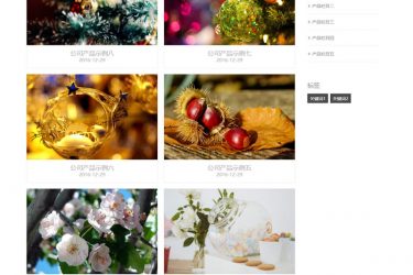 【asp源码】企业网站系统电脑手机微信三合一 v4.0 - 壹忧舍