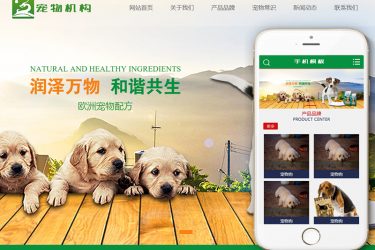 【织梦模板】宠物动物机构类网站织梦模板(带手机端) - 壹忧舍