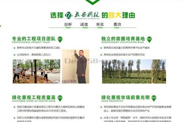 【织梦模板】营销型绿色市政园林绿化类网站织梦模板(带手机端) - 壹忧舍