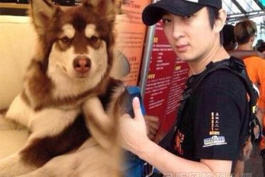 王可可是个碧池,这是抬举了狗还是抬举了碧池? - 壹忧舍