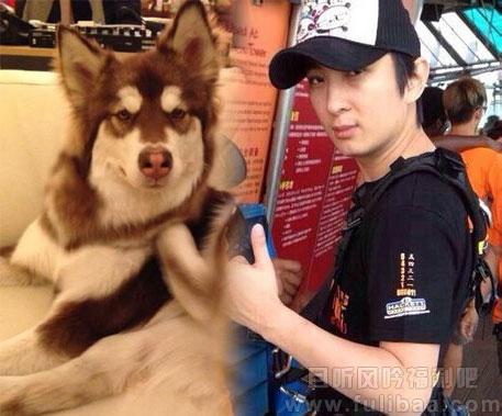 王可可是个碧池,这是抬举了狗还是抬举了碧池? - 壹忧舍