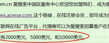 为爱搜索(acesse)打着网赚的名义搞传销 请勿落入爱搜索陷阱 - 壹忧舍
