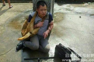 村民围殴偷狗贼是对是错 豪车女打协警无法无天 - 壹忧舍