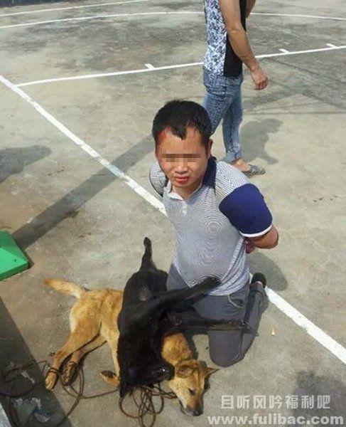 村民围殴偷狗贼