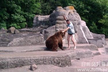 男子暴打母熊是坑熊,我妈是站长简直就是坑娘啊 - 壹忧舍