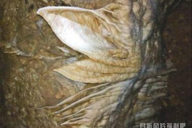 打井挖出万年溶洞 中奖自拍遭冒领福祸相依|新闻头条 - 壹忧舍