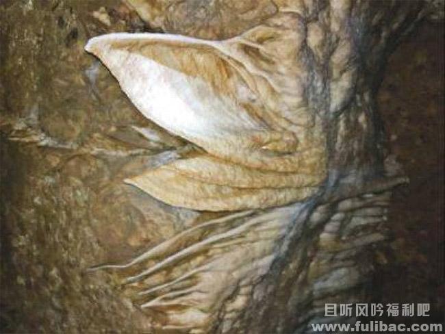 打井挖出万年溶洞 中奖自拍遭冒领福祸相依|新闻头条 - 壹忧舍