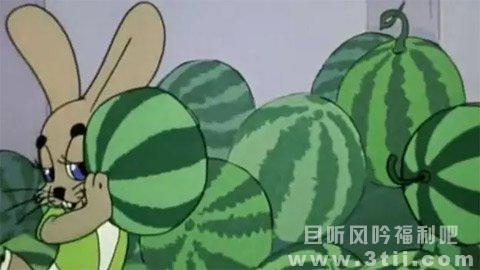 中国人买西瓜就爱先敲敲