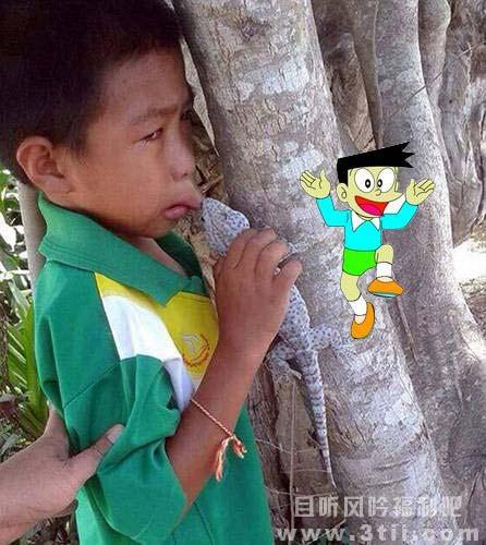 男孩亲壁虎被咬唇