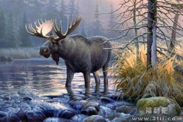 神兽踩空掉千岛湖只因天气太冷 凌晨叫外卖遭猥亵都是外卖小哥的错 - 壹忧舍