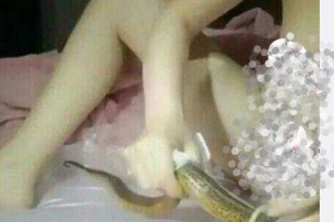 黄鳝女主播视频 女主播将黄鳝放下体后被传死亡事件 - 壹忧舍