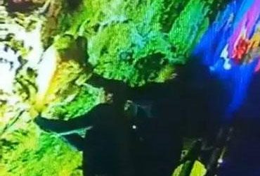 山东钟乳石被偷 三名游客这波操作丢脸至极 - 壹忧舍