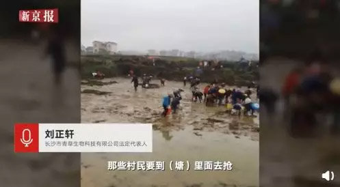 薅羊毛用户被封号 B站网红发动粉丝刷单700万弄垮网店 - 壹忧舍