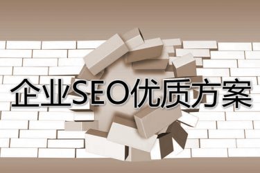 企业网站找专职seo的人员值得吗? - 壹忧舍