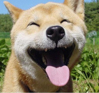 新闻哥吐槽:我们穿秋裤的理由都是妈妈觉得我们冷 - 壹忧舍