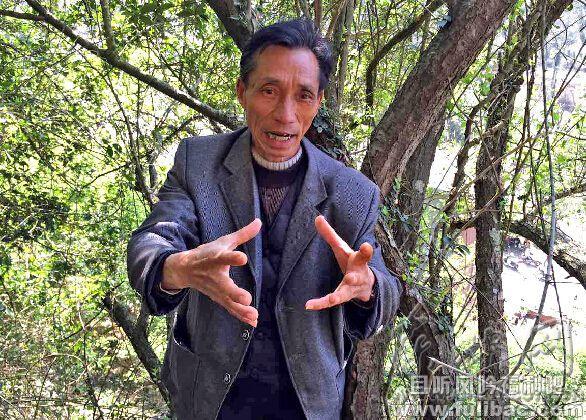 6米长老巨蟒出洞晒太阳 专家称正在谈恋爱 - 壹忧舍