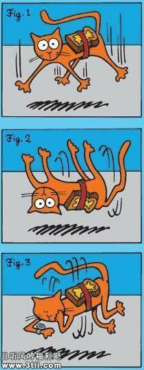 黄油猫悖论其实就是一个错误的理论 - 壹忧舍