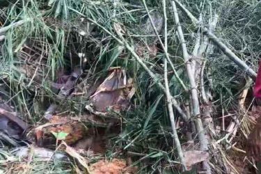 中国旅行团老挝发生车祸 已致5人遇难14人失踪 - 壹忧舍