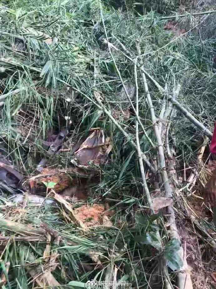 中国旅行团老挝发生车祸 已致5人遇难14人失踪 - 壹忧舍