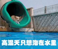 今年的第七号台风“韦帕”生成 小心别被吹走了 - 壹忧舍