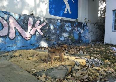 合肥学校发现婴尸