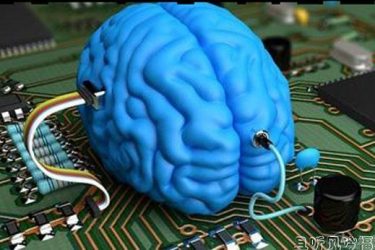 模拟人脑项目失败 科学的进步真的是一个漫长的过程 - 壹忧舍