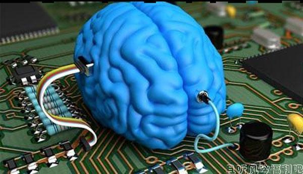 模拟人脑项目失败 科学的进步真的是一个漫长的过程 - 壹忧舍