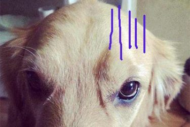 新闻哥吐槽:事后一支烟,真要当神仙! - 壹忧舍