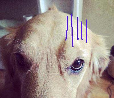 新闻哥吐槽：事后一支烟，真要当神仙！ - 壹忧舍