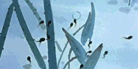 图片[12] - 想放屁、想哭、想便便却憋回去 你知道危害有多大吗？ - 壹忧舍