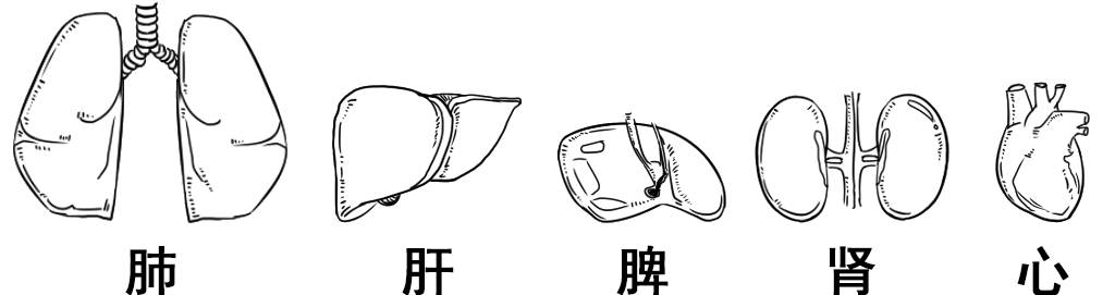 图片[3] - 什么才算真正的器大活好？看看科学的新发现！ - 壹忧舍