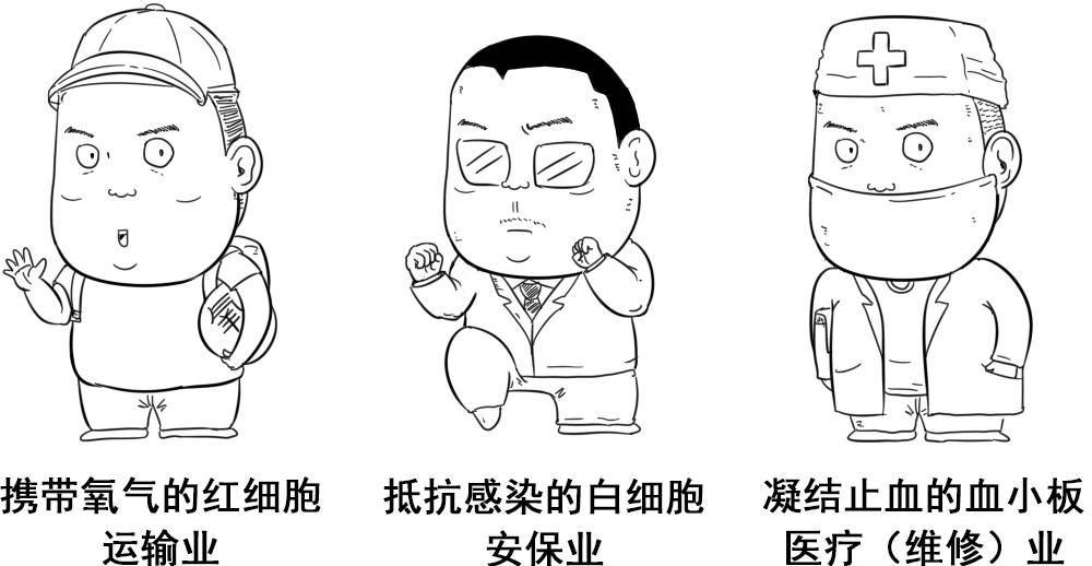 图片[5] - 什么才算真正的器大活好？看看科学的新发现！ - 壹忧舍