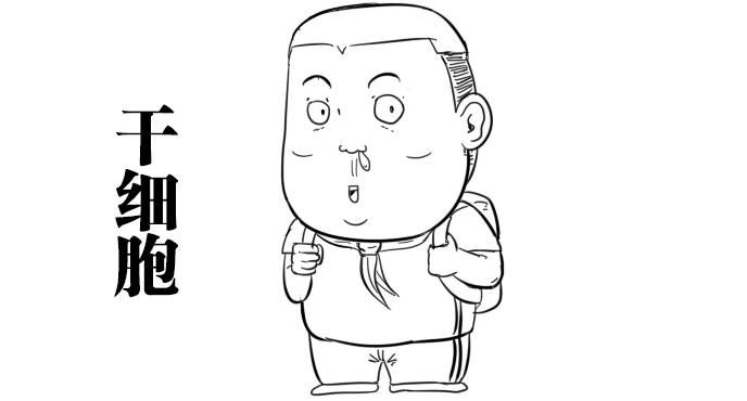 图片[6] - 什么才算真正的器大活好？看看科学的新发现！ - 壹忧舍